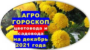 Агрогороскоп цветовода и садовода на декабрь 2021 года