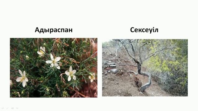 Байбатырова Б У Мемлекеттік табиғи қорықтар смотреть онлайн