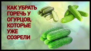Как убрать у огурцов горечь, даже, если они уже созрели