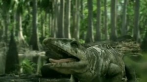 Walking with Monsters - Arthropleura vs. Proterogyrinus