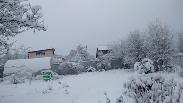 родительский сад. смотреть онлайн