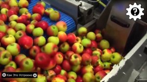 Яблочный Сок - Как Это Сделано_ Такого Никто Не Ожидал!