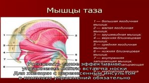 Упражнения при недержании мочи у женщин