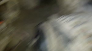 Пропала зарядка. Берегите цените автоэлектриков. мерседес ATEGO