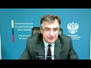 Statement by DPR Gennady Kuzmin at an open VTC on "Protection of civilians in armed conflict"