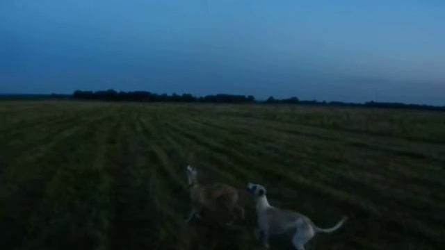 DSCN0951 смотреть онлайн