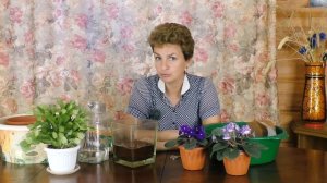 Использование субстрата Орехнин для подготовки грунта