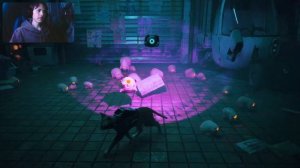 STRAY ПРОХОЖДЕНИЕ🐈 / Прохождение игры — Стрэй #2 / Новая игра 2022 #stray / КОШАЧИЙ СТРИМ!