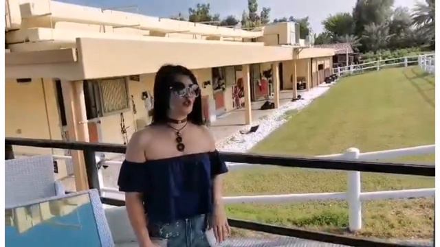 #JA Palm Tree Court Part 2 short #vacation смотреть онлайн