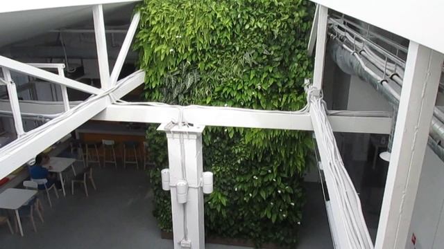 Практика вертикального озеленення від WGW&Roofs