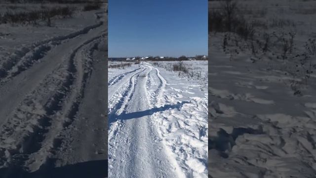 Ненецкие Оленегонные Лайки (Оленегонные шпицы) - Золотинка и Някочи смотреть онлайн