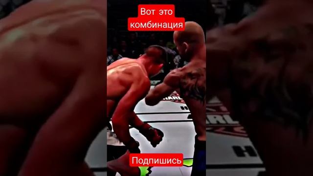 MMA UFC BOX рукопашные бои