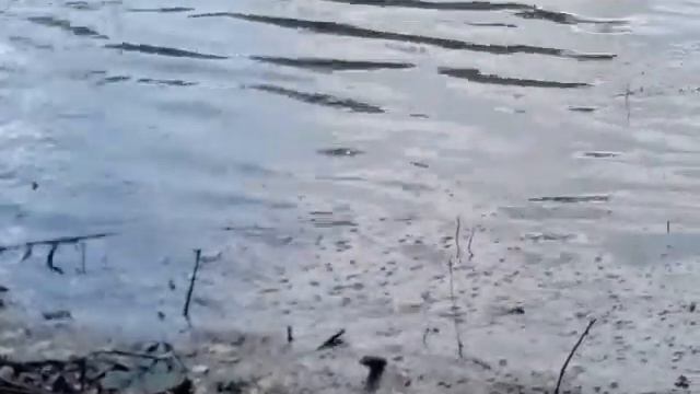 Вся рыба под берегом - Рыбалка 33 смотреть онлайн