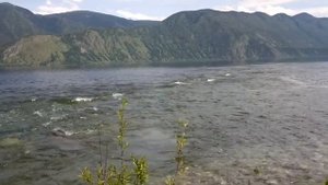 Рыбалка НА ХАРИУСА на Алтае ! Озеро Телецкое .