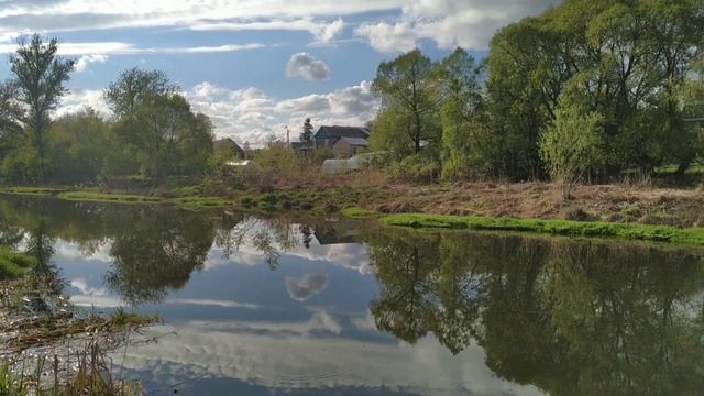 Река "Снежеть", май, лягушачьи свадьбы смотреть онлайн