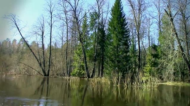 Водный поход река Пижма. Утро третьего дня. 2020 год смотреть онлайн