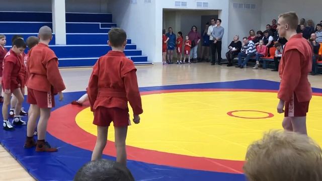 Семинар «Самбо в школу» смотреть онлайн
