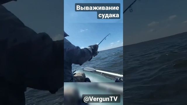 Вываживание судака #рыбалка #рыбалка_в_каменском #verguntv #весенний_клев #fishing