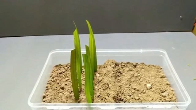 TOP 6 ARDUINO BASED PROJECTS FOR AGRICULTURE