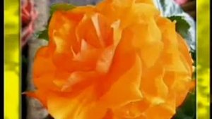 Я нуждаюсь в Тебе мой Спаситель караоке