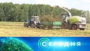 «Сегодня»: 3 августа 2024 года. 10:00 | Выпуск новостей | Новости НТВ