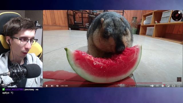 Клип Заботливый Женя.