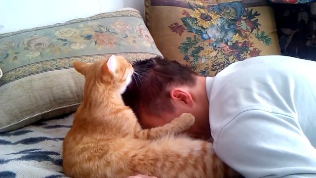 Коту не нравятся грязные волосы смотреть онлайн