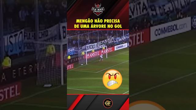 GOL | LANCE MUITO ESTRANHO | GOLEIRO SANTOS | FLAMENGO E RACING | MATHEUS CUNHA