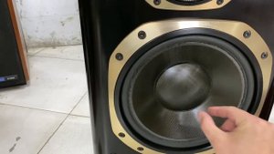 Колонки Denon sc r99 краснокнижный мамонт