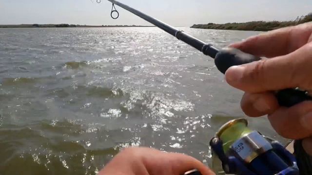 САЗАНЫ-МОНСТРЫ!!! ОНИ РВУТ ЛЕСКИ !!! ПРОСТО ШОК!!! МЕСНАЯ СНАСТЬ В ДЕЛЕ. АСТРАХАНЬ. 20-Й УЧАСТОК.