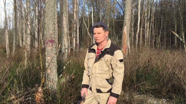 Откуда дровишки? смотреть онлайн