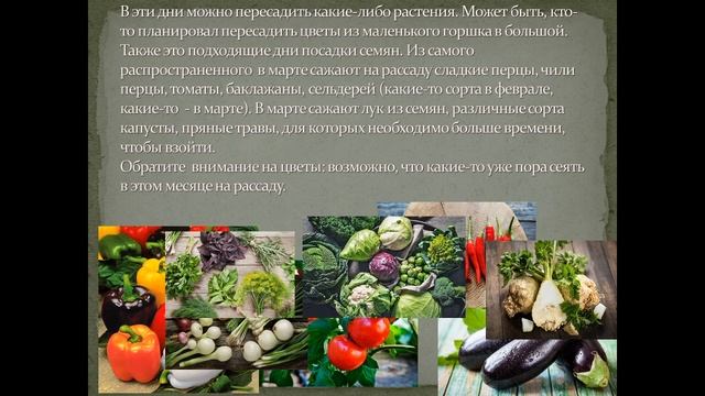 Благоприятные дни марта 2023 года для рассады/пересадки растений