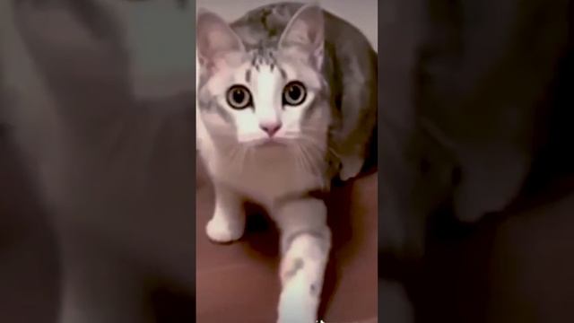 молоко поставь сюда смотреть онлайн