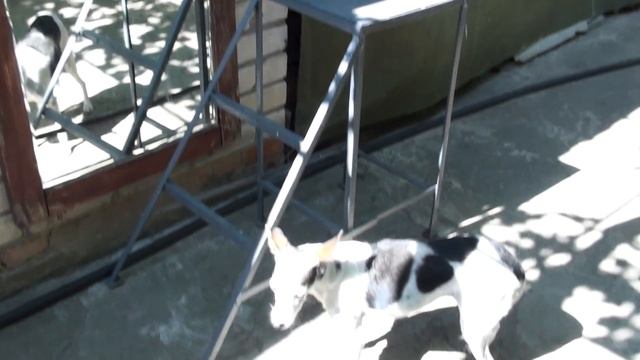 Камера Sony handycam HDR CX105E пример видео с приближением в FullHD смотреть онлайн