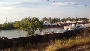 Донские плавни на приближении к Ростову