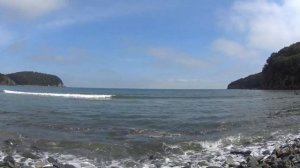 п\о Гамова,бухта Нерпичья,мыс Острый после тайфуна Майсак 05.09.2020