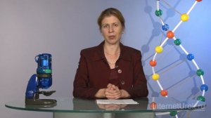 Углеводы и их роль в жизнедеятельности клетки. Видеоурок по биологии 10 класс