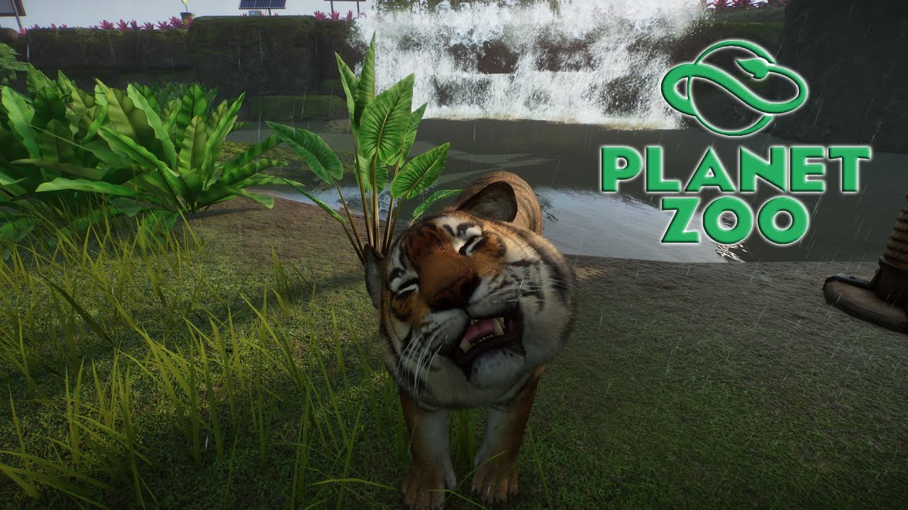 Planet Zoo S2 E9 - Вольер для бенгальских тигров