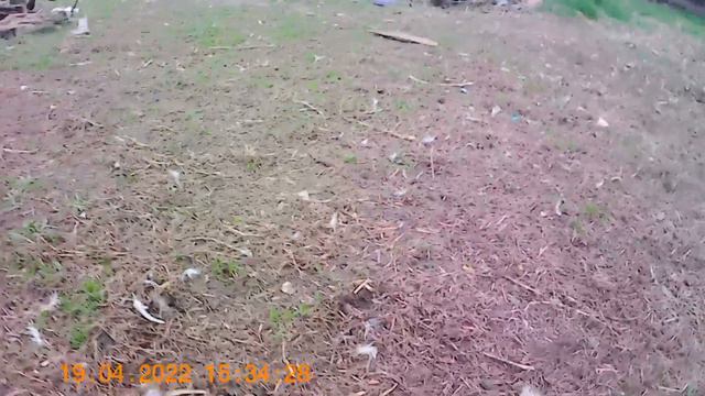 №444. FILE220419 153351 000005F. Жуля, мяч и палка. смотреть онлайн