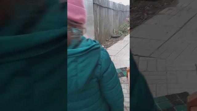 Настина кошка поймала мышь, Мы нашли сундучок с запиской Я тебя люблю, и там ещё были подарки смотреть онлайн