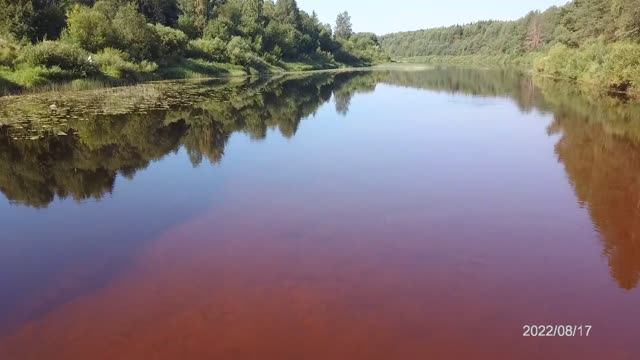 Полёт над рекой Кубина