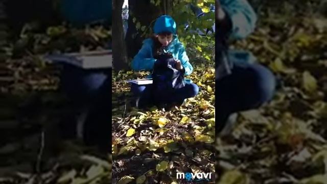 Что делать на осенних каникулах?ОжиданиеvsРеальность??