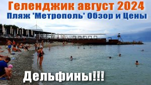 Геленджик август 2024 Пляж 'Метрополь' Обзор и Цены / Много дельфинов