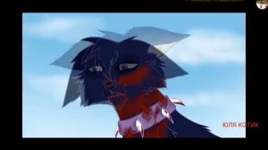 Коты Ваители Бич мая игра