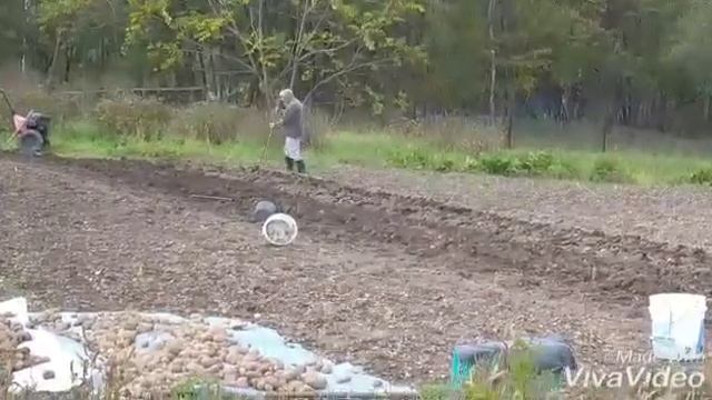Лайфхак как вскопать огород не надрывая спины смотреть онлайн