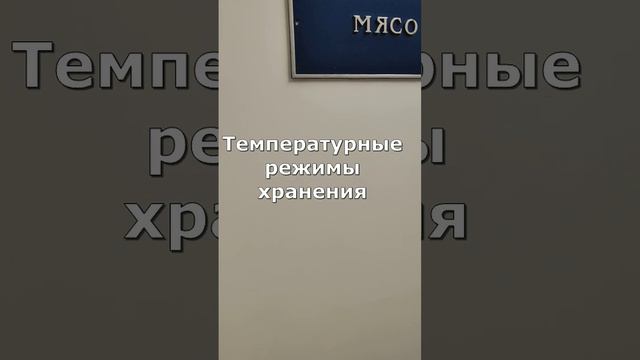 Хранение продуктов в Городском противотуберкулёзном диспансере Петербурга