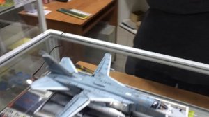Модель Су-24 Звезда