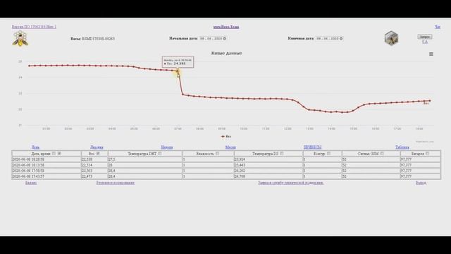 Потеря потерь. Вышел рой. Пасека Сергея Буторина. 8 июня. 18 выпуск смотреть онлайн