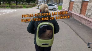 Рюкзак-переноска для кошек Xiaomi Fresh Wind Cat Backpack | Гуляем с Лоренцо, включили фонтаны.