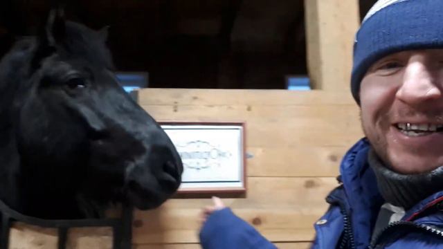 Чита , детский зоопарк! Кони 1 часть. смотреть онлайн